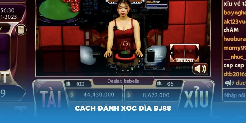 Hướng dẫn cách đánh xóc đĩa BJ88 hiệu quả