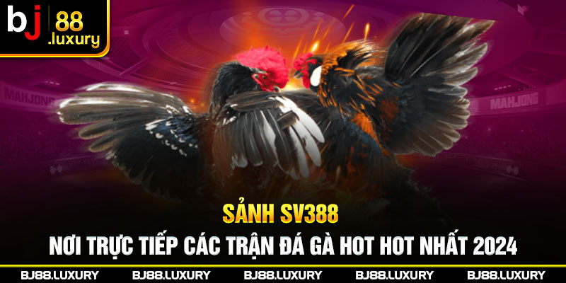 Sảnh SV388 - Nơi Trực Tiếp Các Trận Đá Gà Hot Hot Nhất 2024