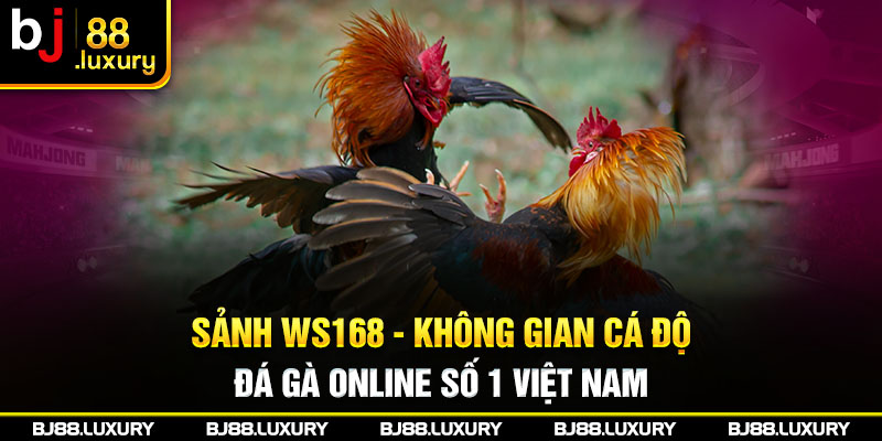 Sảnh WS168 - Không Gian Cá Độ Đá Gà Online Số 1 Việt Nam